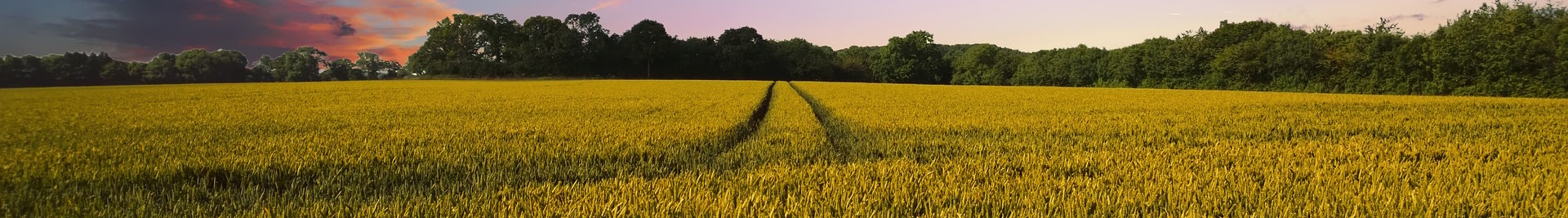countryside-2326787_1920.jpg