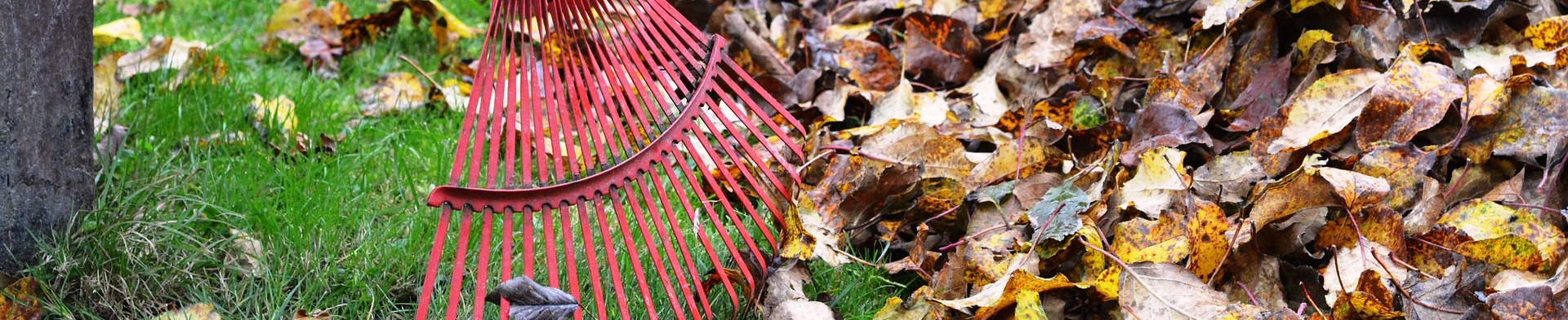rake-2876079_1920.jpg