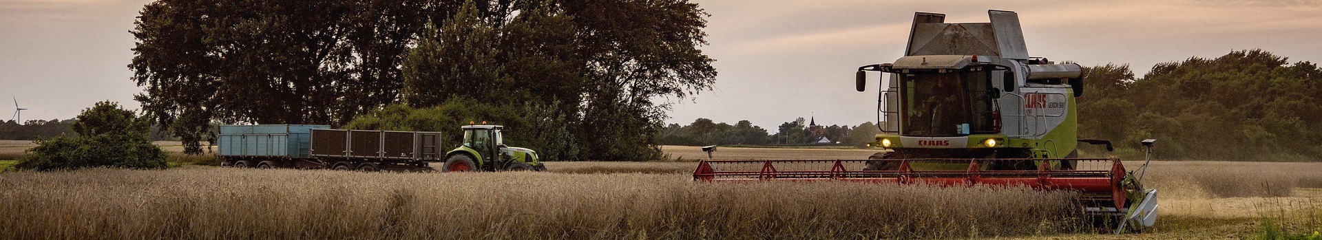 harvest-2800296_1920.jpg