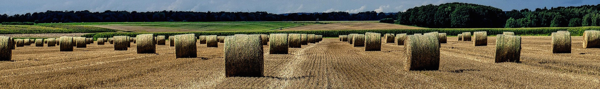 straw-bales-2638678_1920.jpg