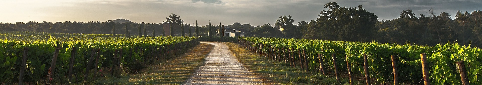 country-lane-428039_1920.jpg