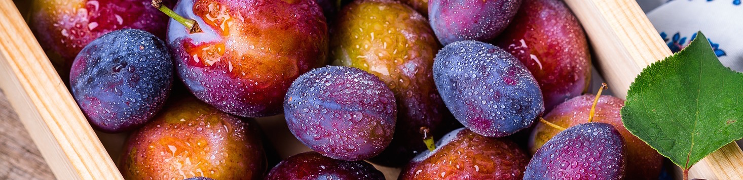 plum-1898196_1920.jpg